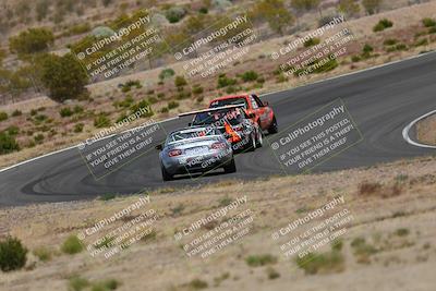 media/May-03-2025-Lucky Dog Racing (Sat) [[206de64b9d]]/Turn 2 (1020am-1120am)/